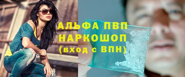 PSILOCYBIN Костерёво