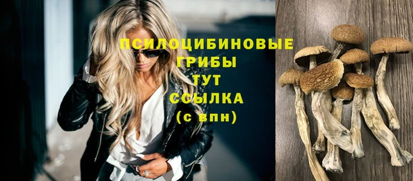 меф Корсаков